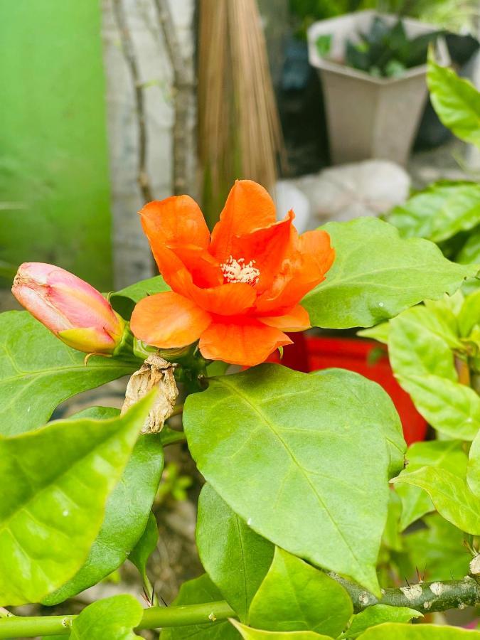 Motel Tuan Phuong Дананг Екстериор снимка